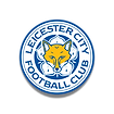 ng28南宫体育-KAIYUN-SPORTS-LEICESTER-CITY